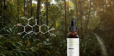 Is Fulvic Acid the missing link to cellular health?