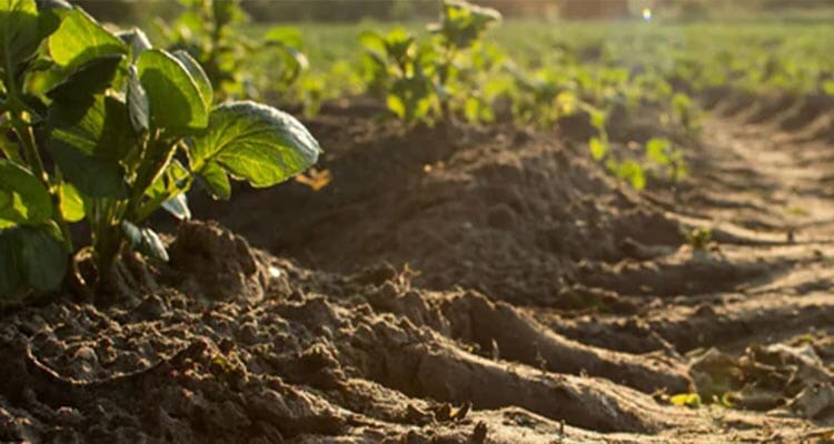 Mythbusting: Naturally derived ingredients are NOT natural – Akamai