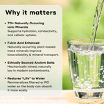 ANCIENT MINERAL DROPS Akamai 